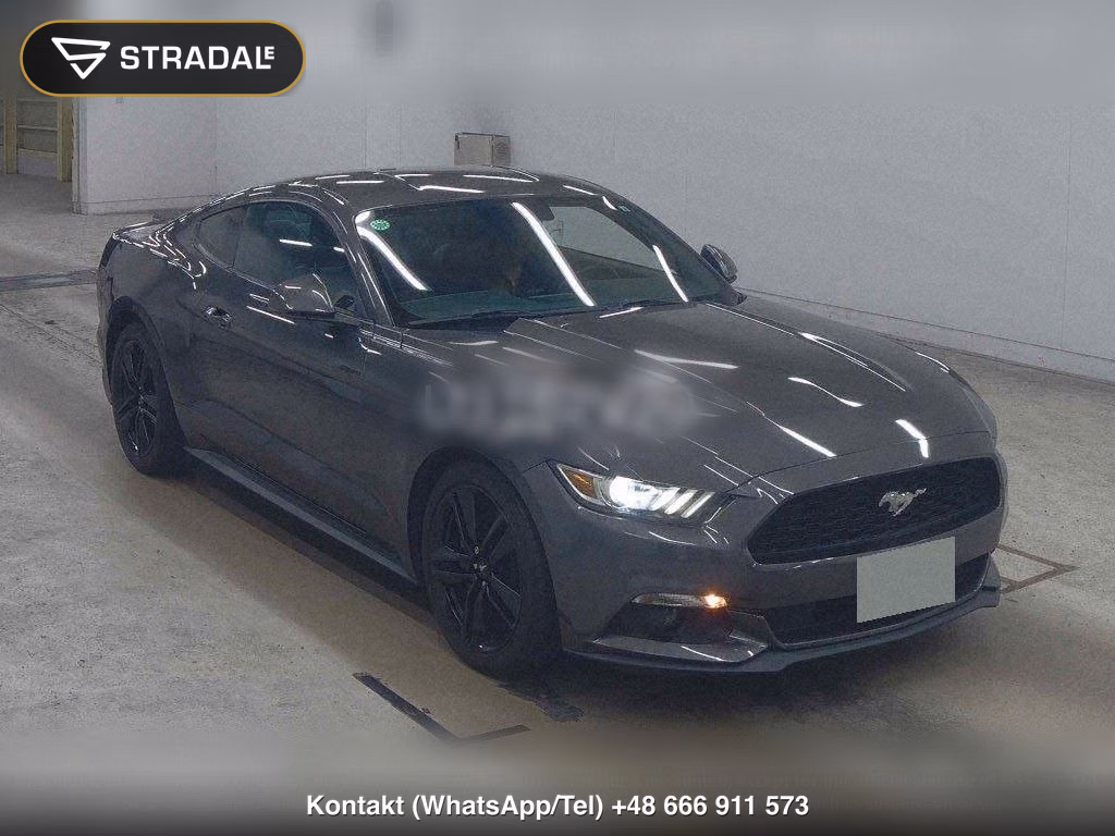 FORD MUSTANG CP 50 YEARS EDITION, miniaturka 2