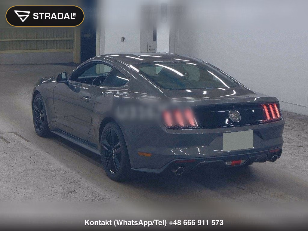 FORD MUSTANG CP 50 YEARS EDITION, miniaturka 3