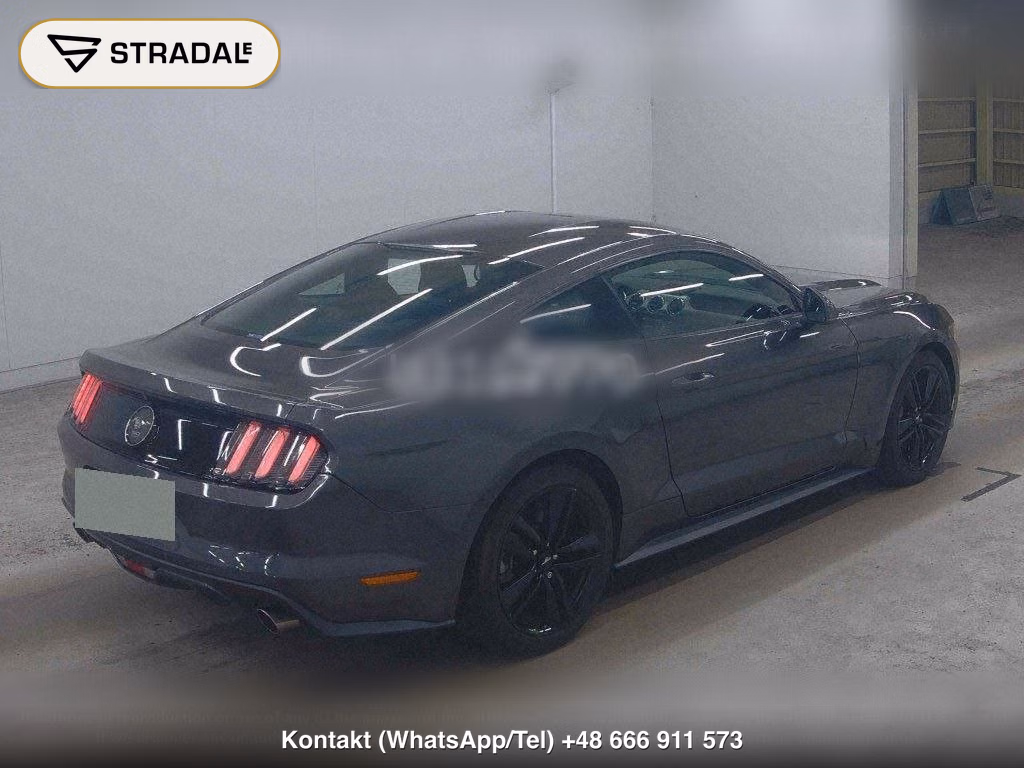 FORD MUSTANG CP 50 YEARS EDITION, miniaturka 6