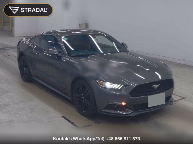 FORD MUSTANG CP 50 YEARS EDITION 2015, samochód z aukcji Japonii