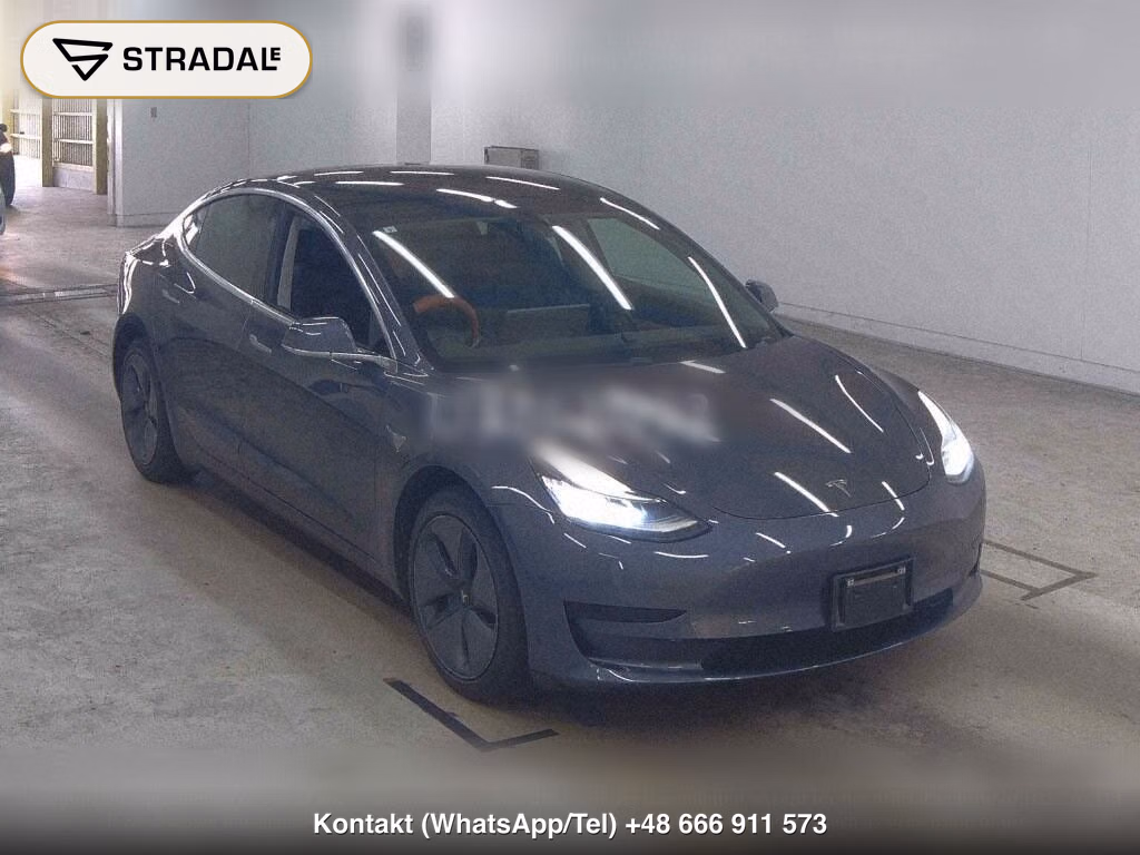TESLA MODEL 3 STANDARD RANGE PLUS, miniaturka 2