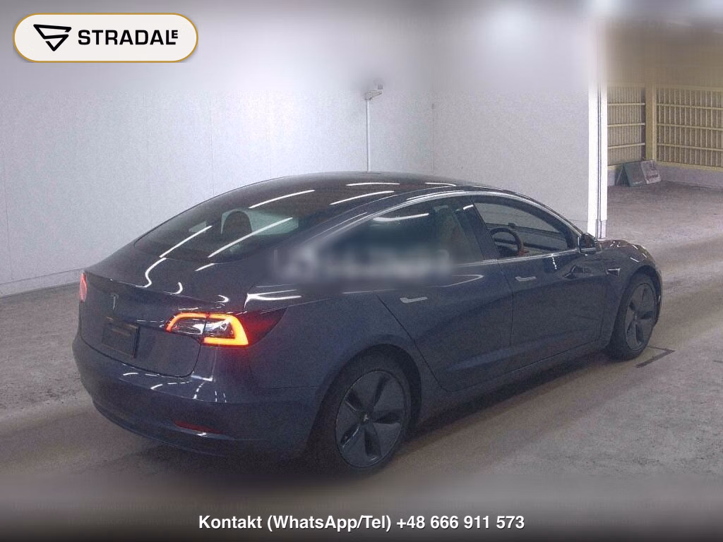 TESLA MODEL 3 STANDARD RANGE PLUS, miniaturka 6