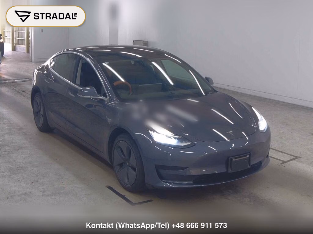 TESLA MODEL 3 STANDARD RANGE PLUS 2019, aukcja z Japonii, zdjęcie 1