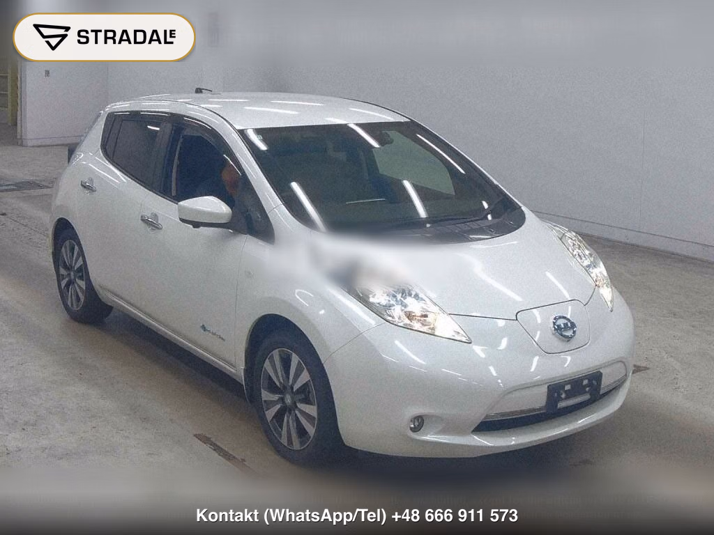 NISSAN LEAF G THANKS EDITION (30KWH), miniaturka 2