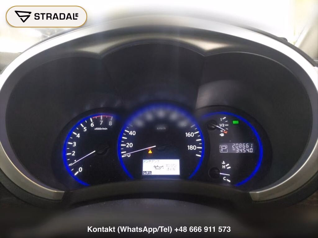 NISSAN ELGRAND 5D 250 HIGHWAY STAR, miniaturka 6