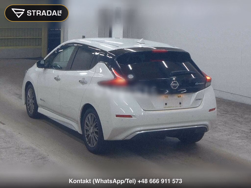 NISSAN LEAF AUTECH, miniaturka 3