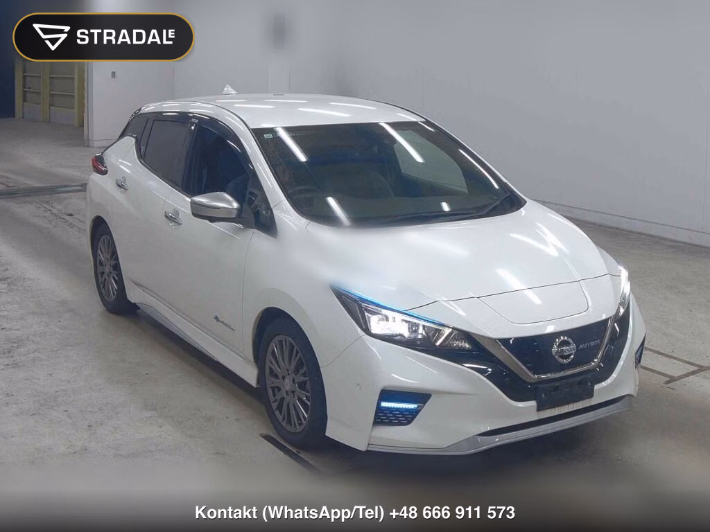 NISSAN LEAF AUTECH 2019, aukcja z Japonii, zdjęcie 1