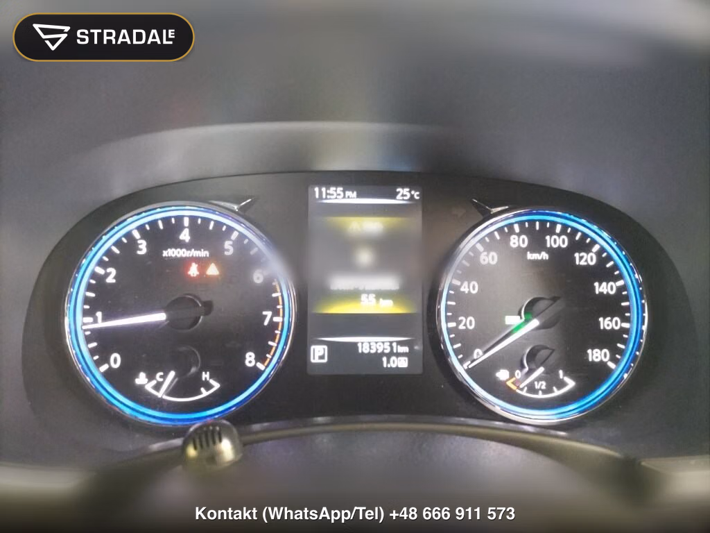 NISSAN ELGRAND 5D 250 HIGHWAY STAR S, miniaturka 7