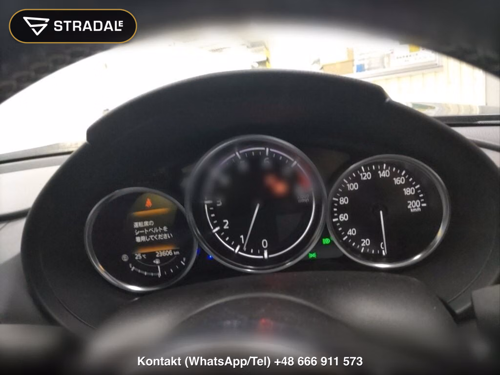 MAZDA ROADSTER S SPECIAL PACKAGE, miniaturka 7