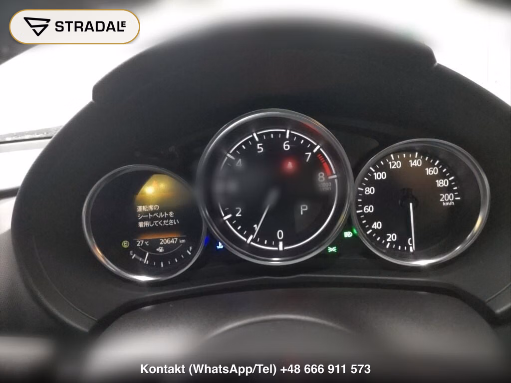 MAZDA ROADSTER S SPECIAL PACKAGE, miniaturka 7
