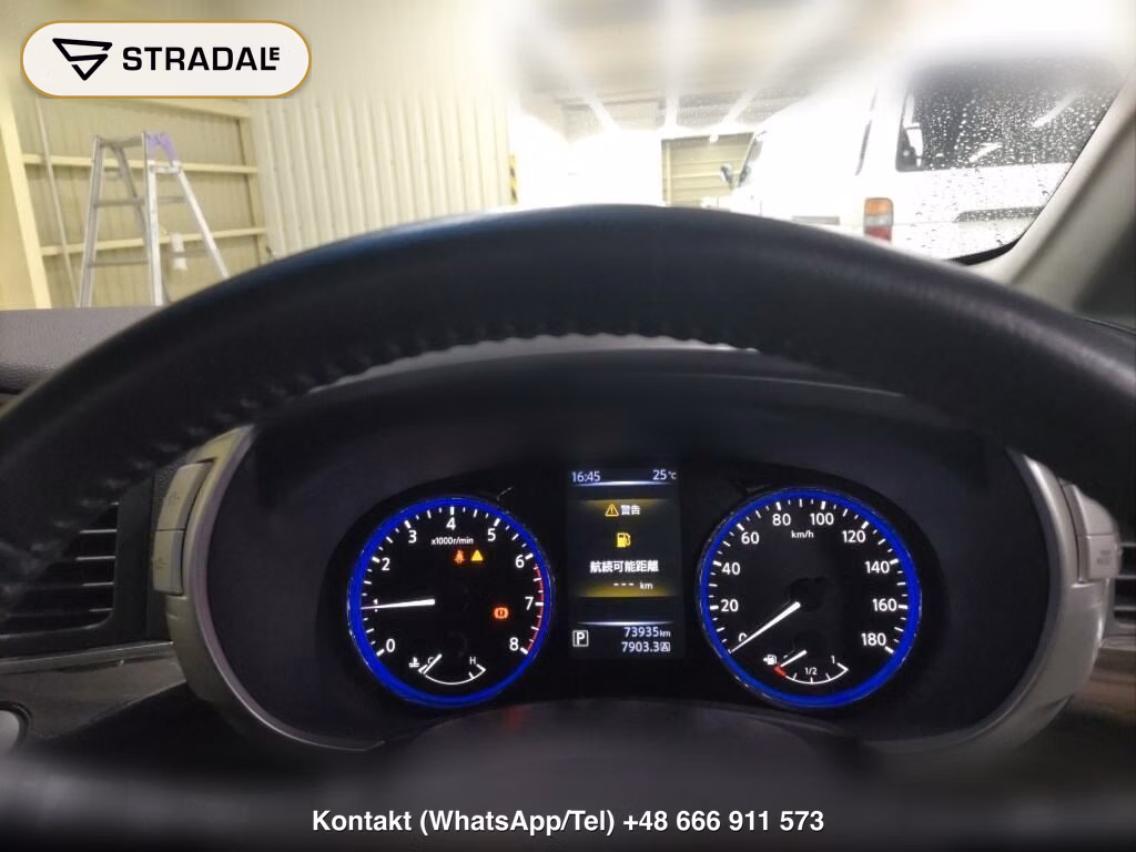 NISSAN ELGRAND 5D 250 HIGHWAY STAR, miniaturka 7