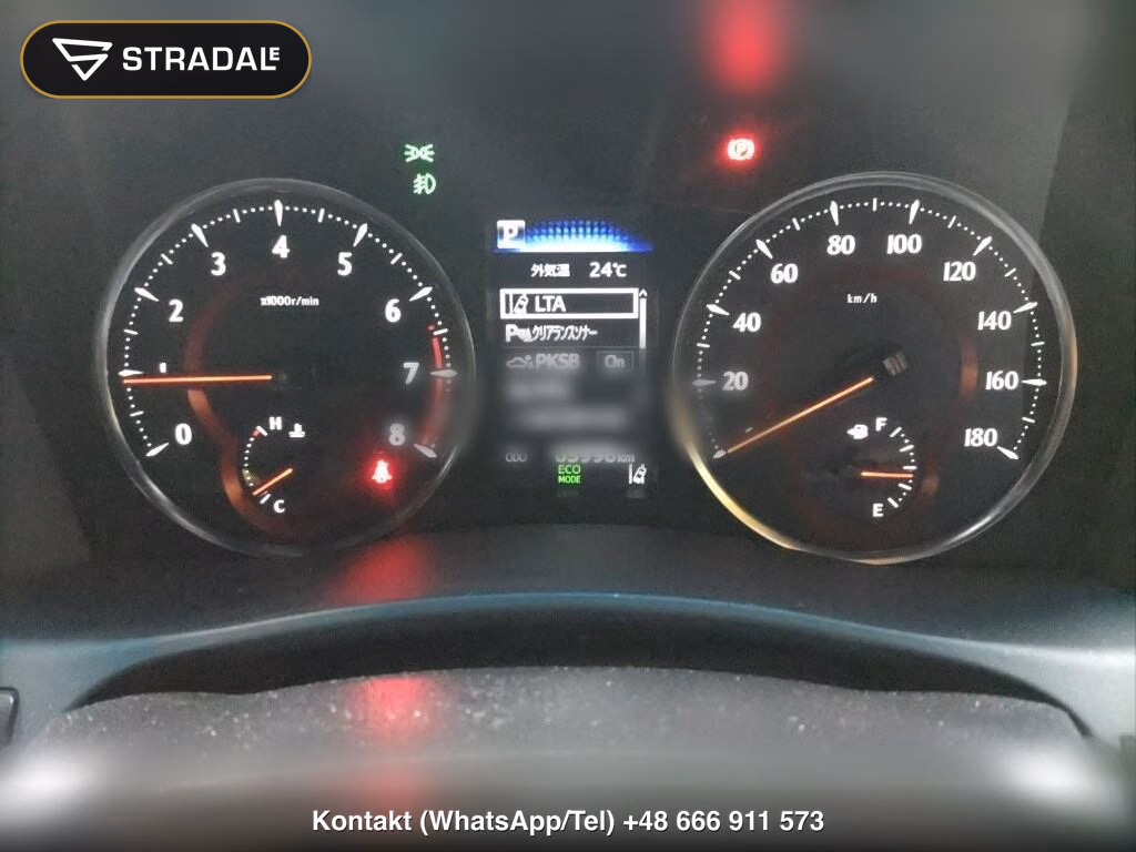 TOYOTA ALPHARD 2.5S TYPE GOLD, miniaturka 7