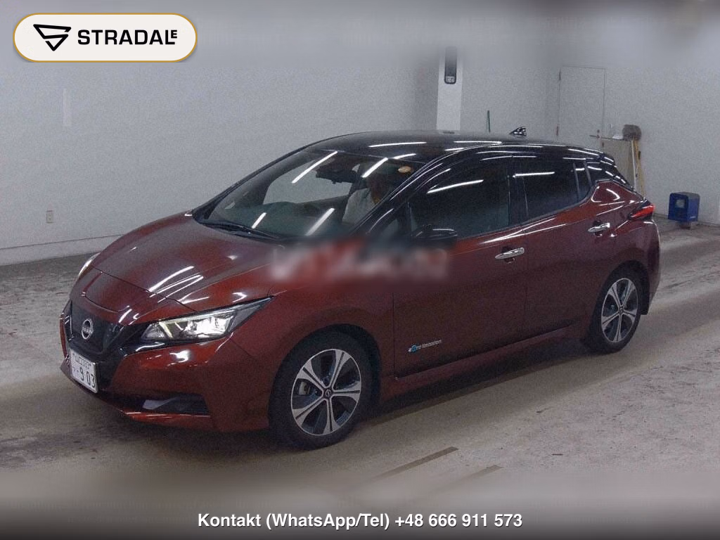 NISSAN LEAF X V SELECTION, miniaturka 5