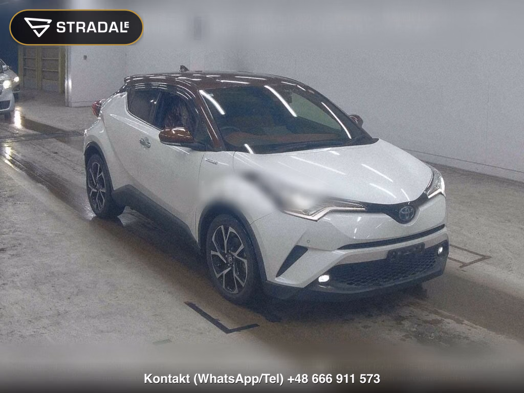 TOYOTA C-HR G MODE BRUNO, miniaturka 2