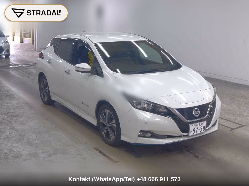 NISSAN LEAF E+ G 2019, aukcja z Japonii, zdjęcie 1