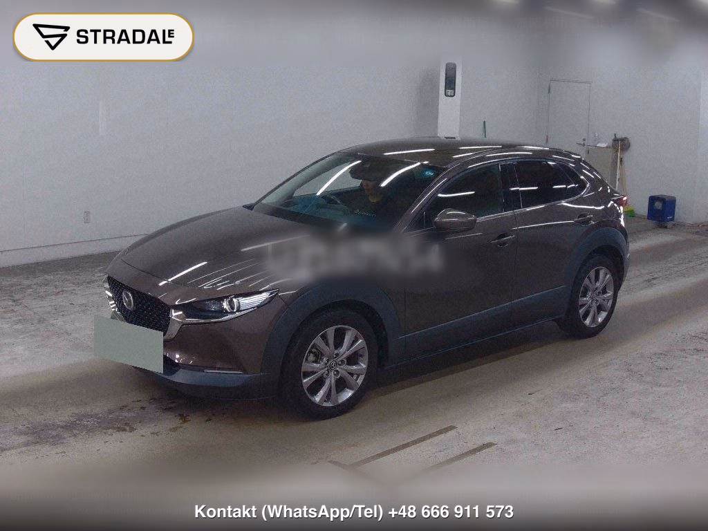 MAZDA CX-30 20S PROACTIVE TOURING SELECTION, miniaturka 5