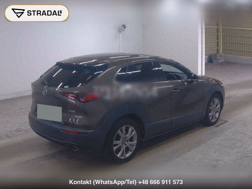 MAZDA CX-30 20S PROACTIVE TOURING SELECTION, miniaturka 6