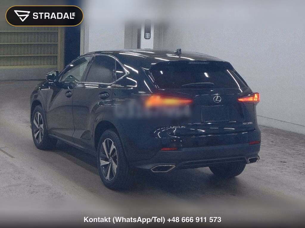 LEXUS NX NX300 SPECIAL EDITION SPICE AND CHIC, miniaturka 3