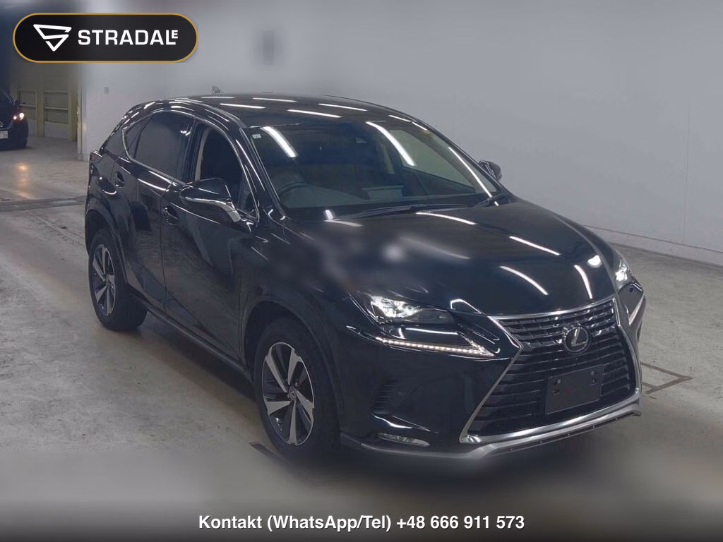LEXUS NX NX300 SPECIAL EDITION SPICE AND CHIC 2021, aukcja z Japonii, zdjęcie 1