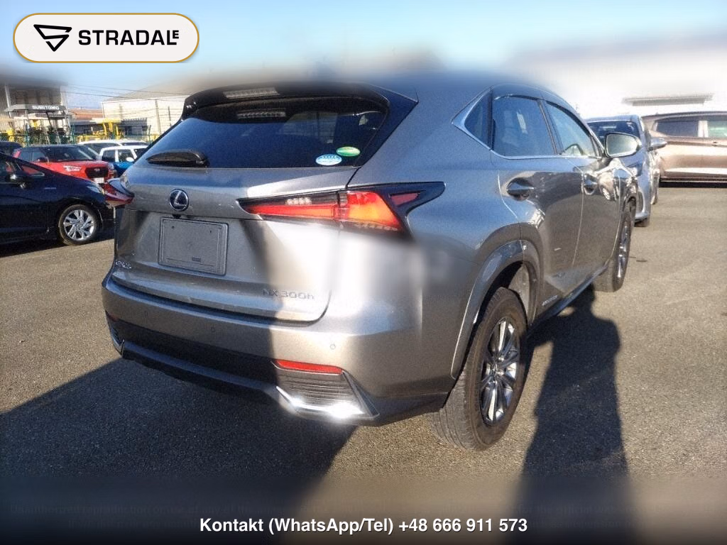 LEXUS NX NX300H I PACKAGE, miniaturka 6
