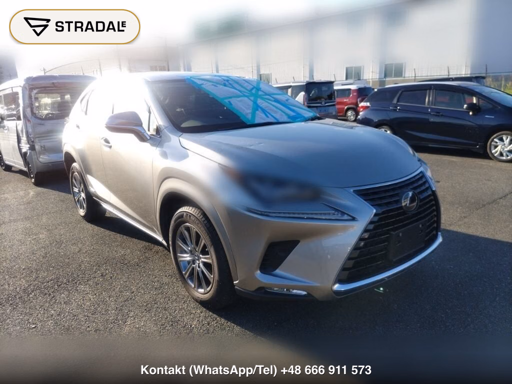 LEXUS NX NX300H I PACKAGE 2020, aukcja z Japonii, zdjęcie 1