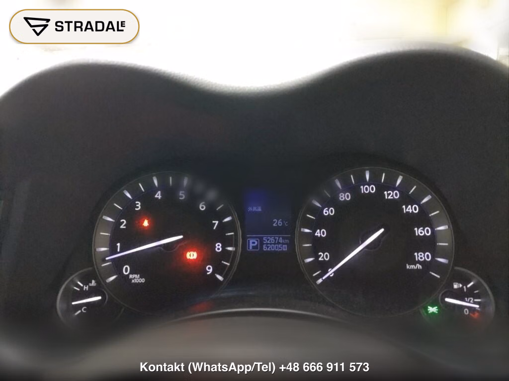 NISSAN FUGA 250VIP, miniaturka 7