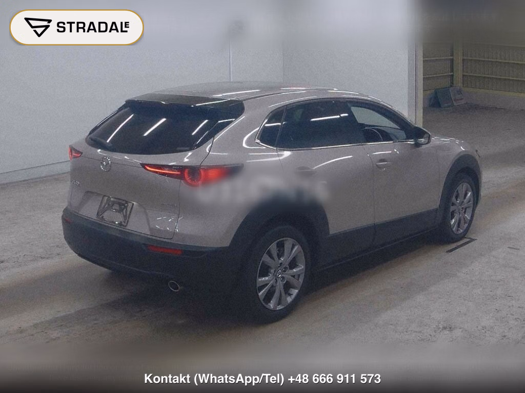 MAZDA CX-30 XD PROACTIVE TOURING SELECTION, miniaturka 6
