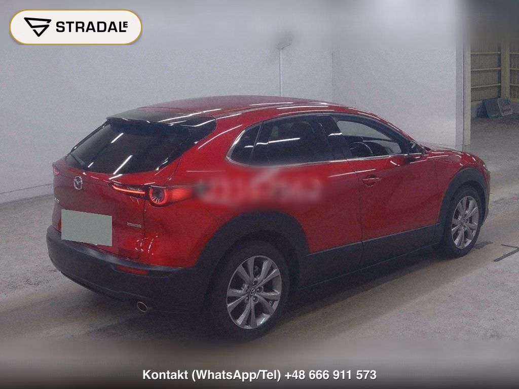 MAZDA CX-30 XD L PACKAGE, miniaturka 6