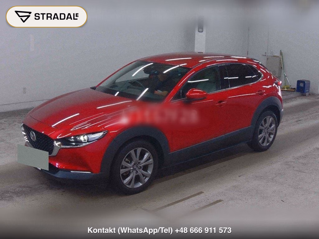 MAZDA CX-30 XD L PACKAGE, miniaturka 5