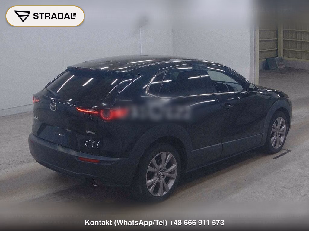 MAZDA CX-30 20S PROACTIVE TOURING SELECTION, miniaturka 6