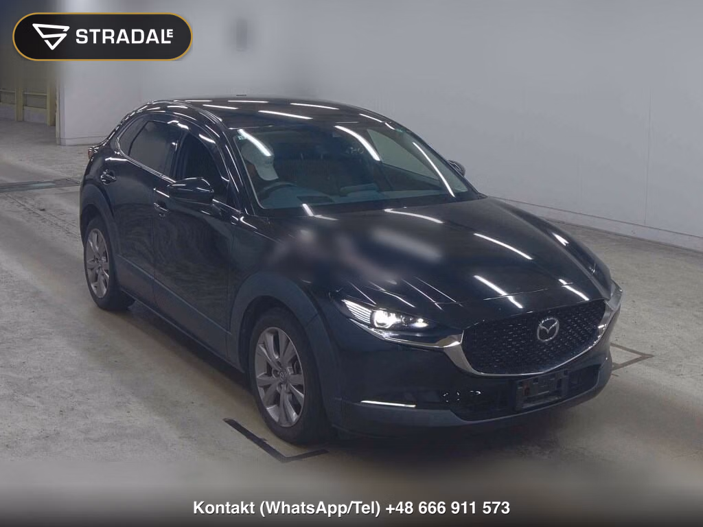 MAZDA CX-30 20S PROACTIVE TOURING SELECTION 2019, aukcja z Japonii, zdjęcie 1