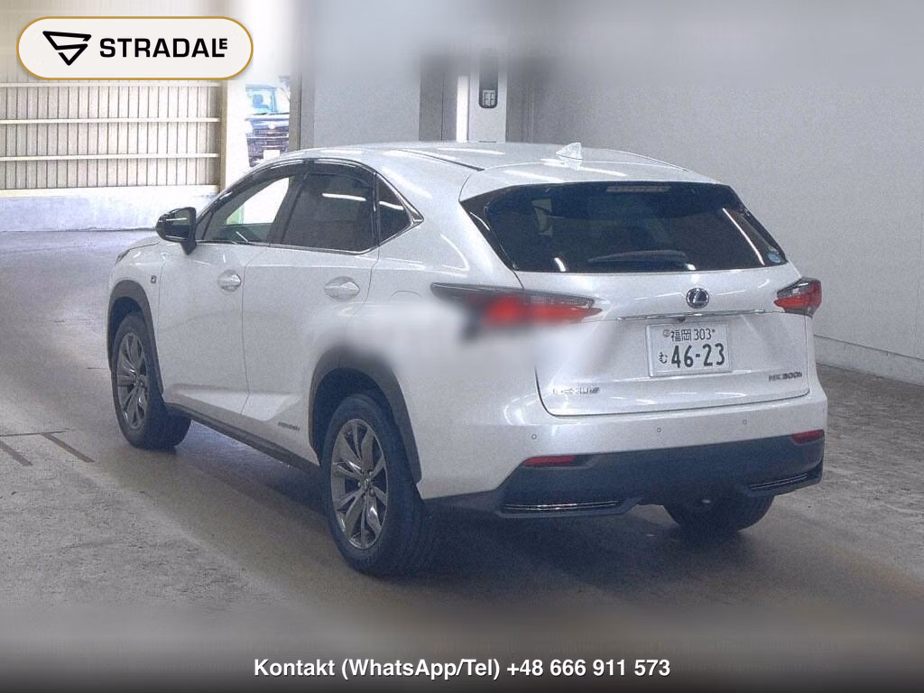 LEXUS NX NX300H F SPORT, miniaturka 3