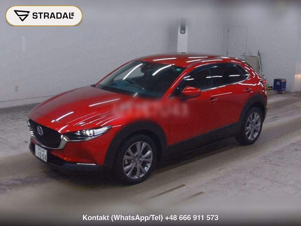 MAZDA CX-30 20S PROACTIVE TOURING SELECTION, miniaturka 5