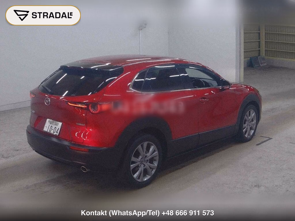 MAZDA CX-30 20S PROACTIVE TOURING SELECTION, miniaturka 6