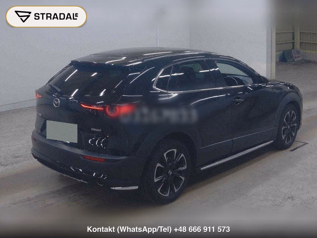 MAZDA CX-30 20S PROACTIVE TOURING SELECTION, miniaturka 6