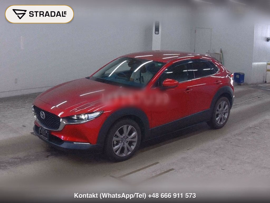 MAZDA CX-30 20S PROACTIVE TOURING SELECTION, miniaturka 5