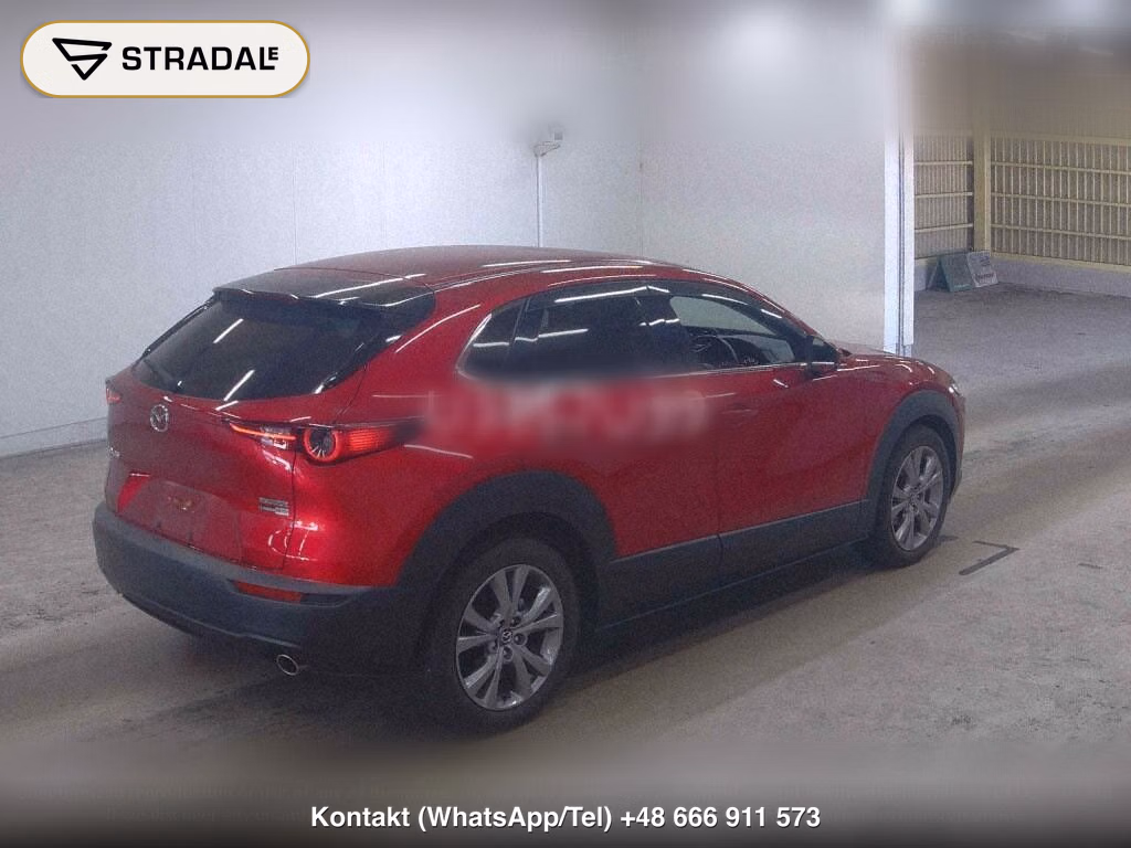 MAZDA CX-30 20S PROACTIVE TOURING SELECTION, miniaturka 6