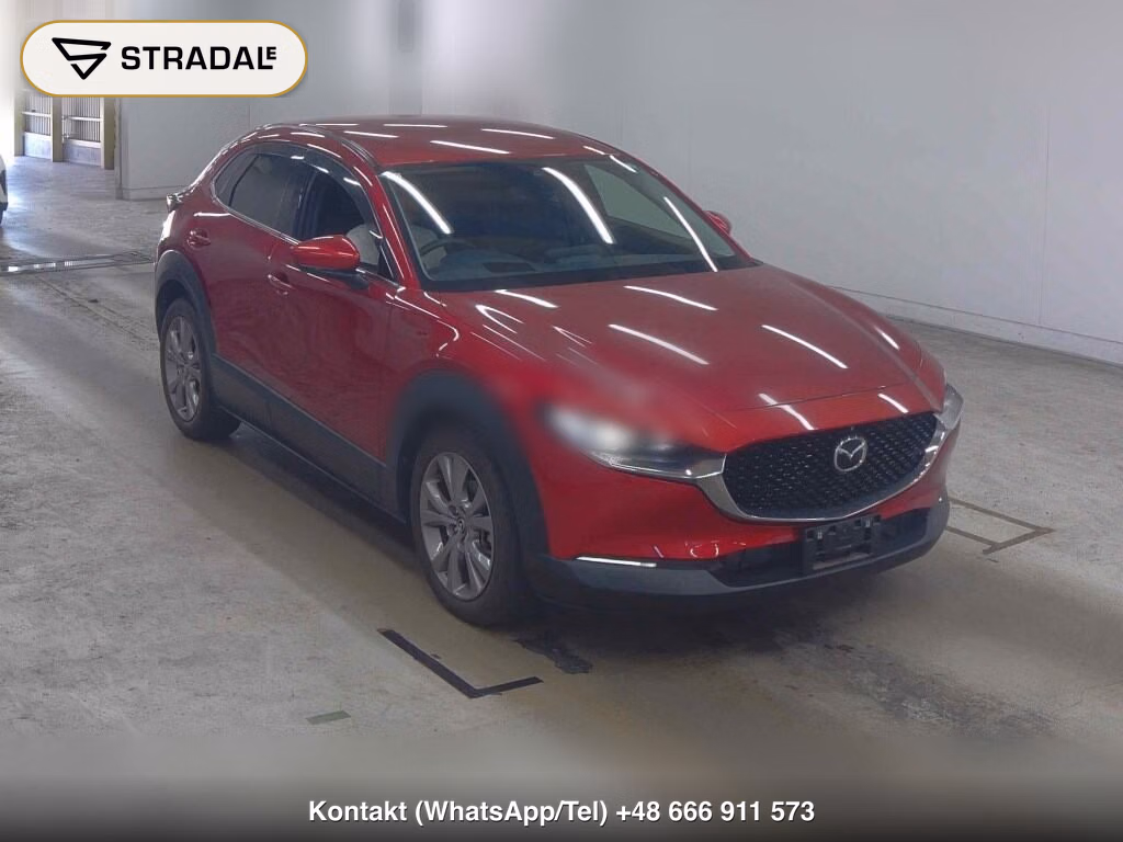 MAZDA CX-30 20S PROACTIVE TOURING SELECTION 2019, aukcja z Japonii, zdjęcie 1