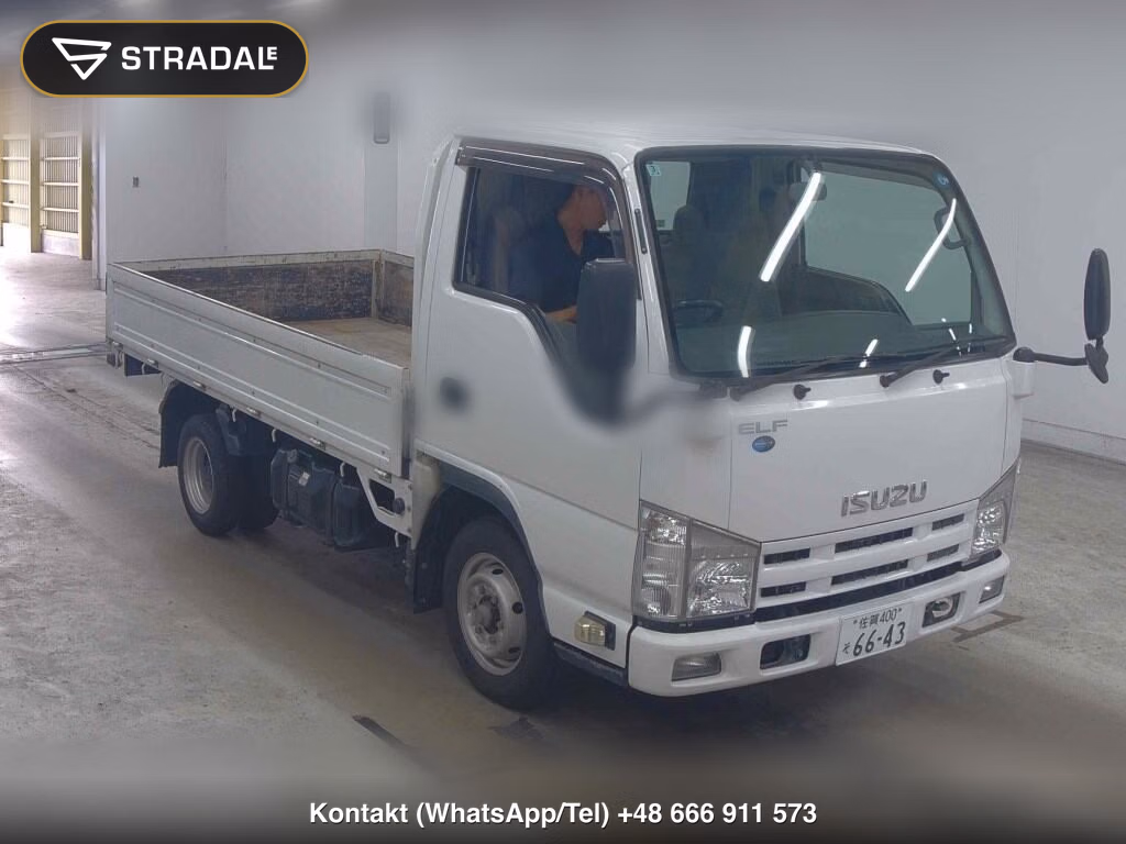 ISUZU ELF TRUCK 2D 2013, aukcja z Japonii, zdjęcie 1