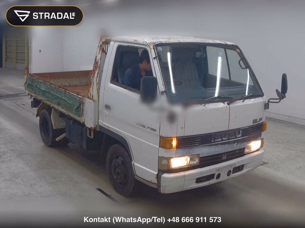 ISUZU ELF TRUCK 2D DUMP 1992, aukcja z Japonii, zdjęcie 1