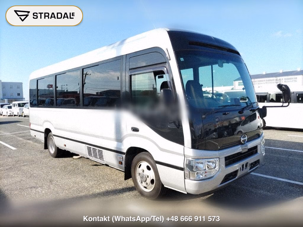 HINO LIESSE 2D OTHERS, miniaturka 2