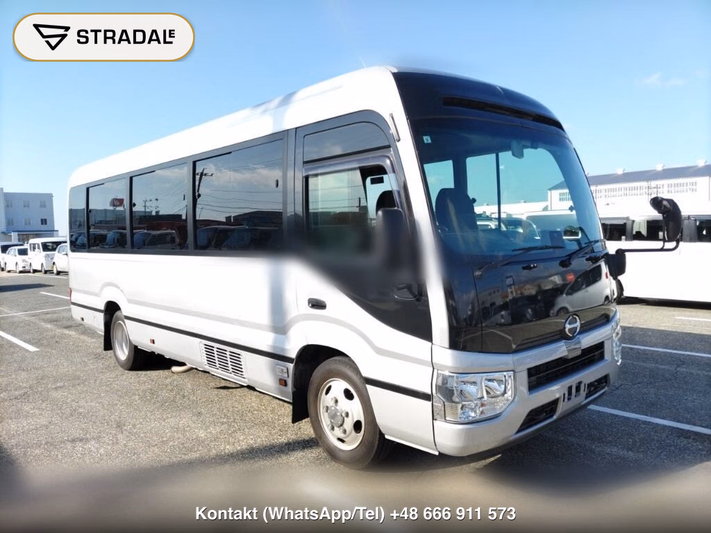 HINO LIESSE 2D OTHERS 2023, aukcja z Japonii, zdjęcie 1