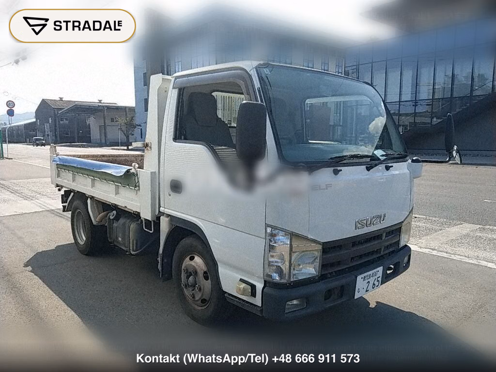 ISUZU ELF TRUCK 2D OTHERS, miniaturka 2