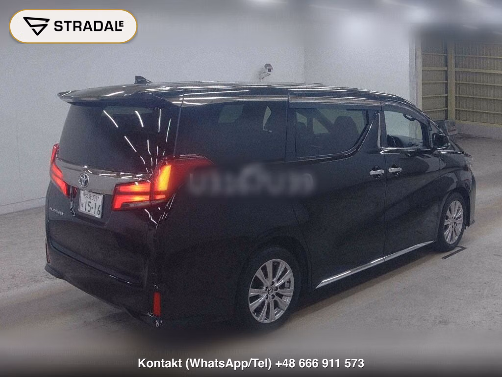 TOYOTA ALPHARD 2.5S TYPE GOLD, miniaturka 6