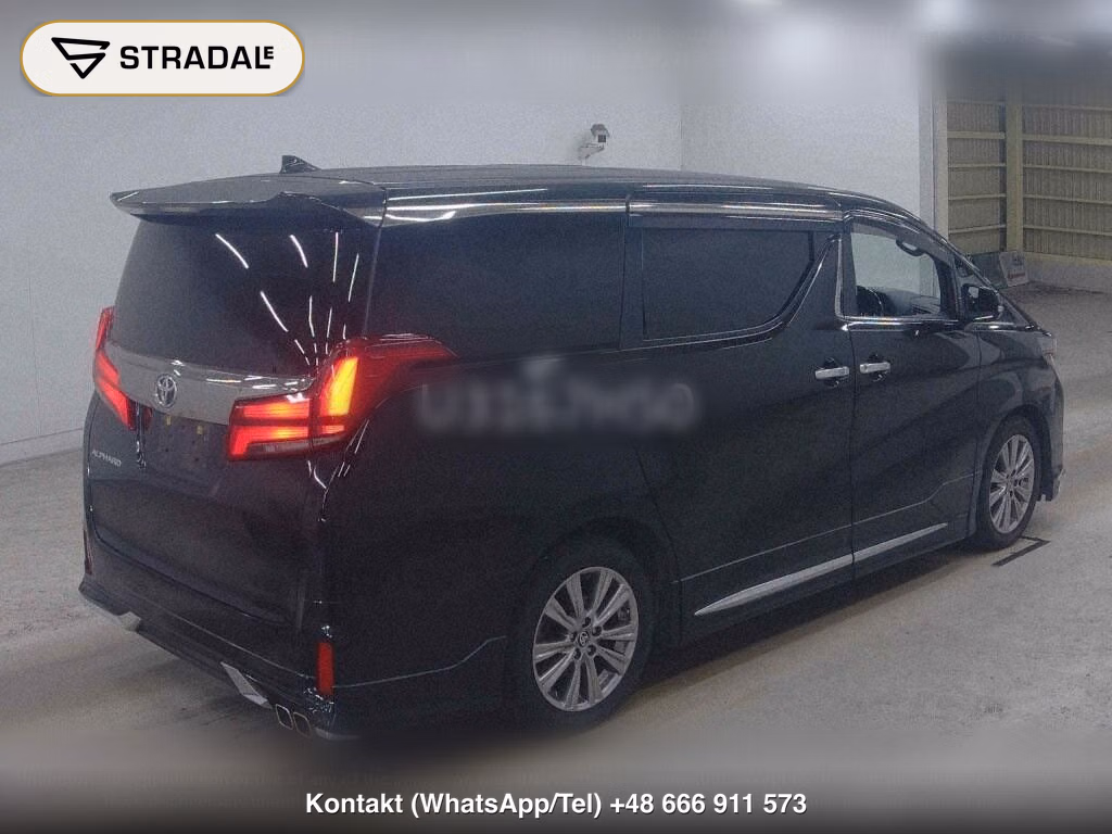 TOYOTA ALPHARD 2.5S TYPE GOLD, miniaturka 6