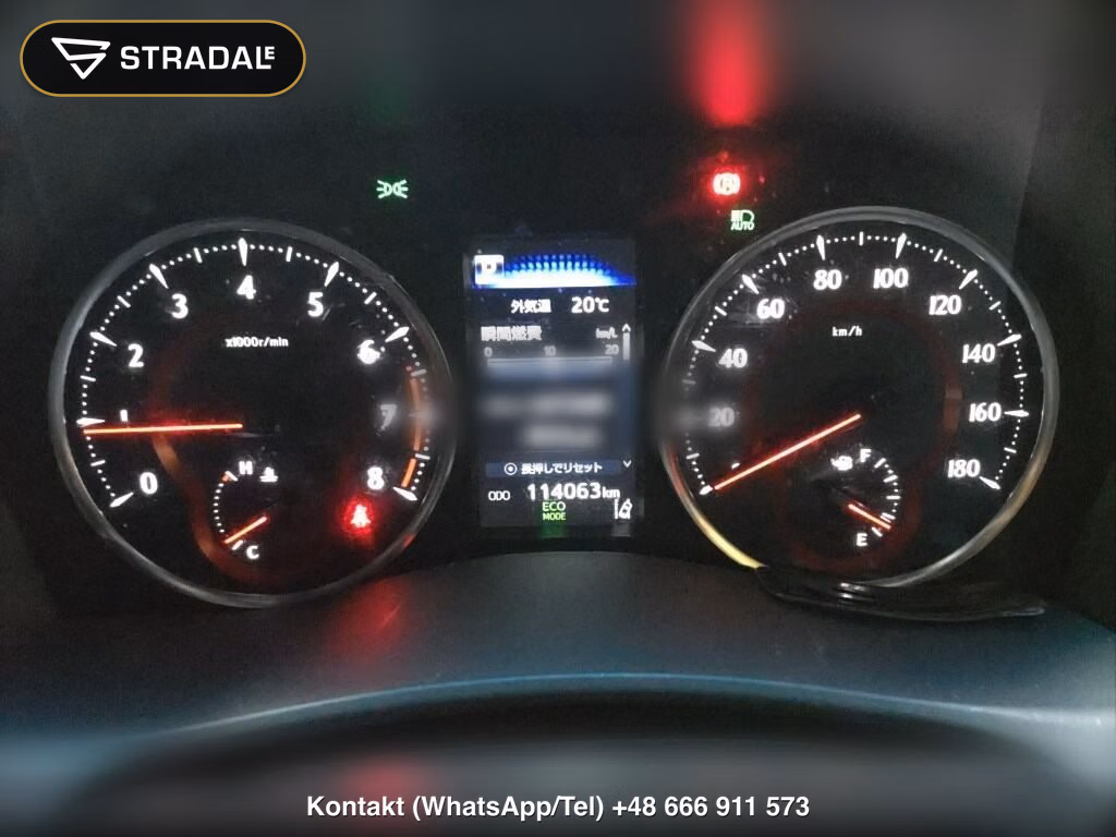 TOYOTA ALPHARD 2.5S TYPE GOLD, miniaturka 7