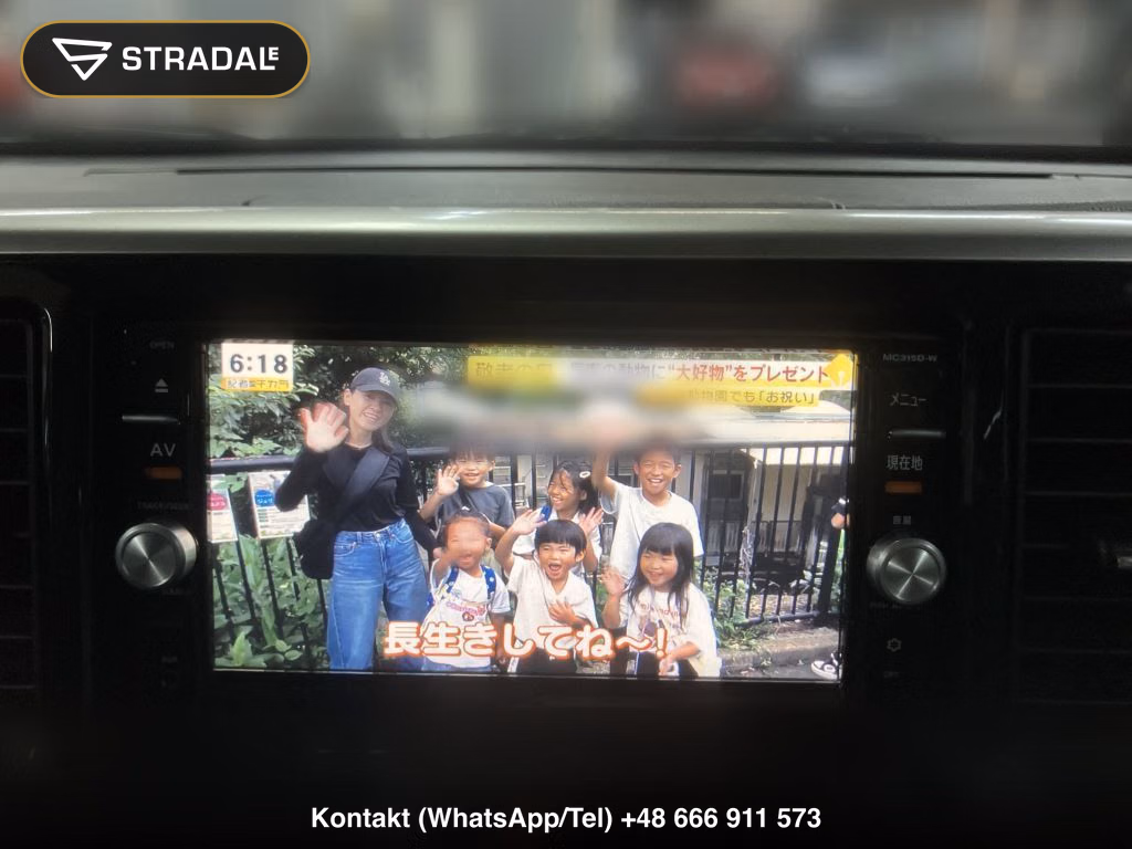 NISSAN DAYZ ROOX X V SELECTION, miniaturka 8