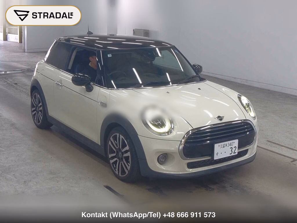 MINI MINI 3D PICCADILLY EDITION 2021, aukcja z Japonii, zdjęcie 1