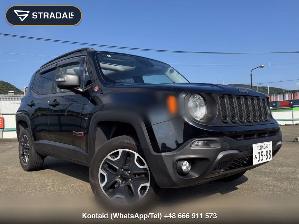 CHRYSLER JEEP JEEP RENEGADE 4WD TRAILHAWK, miniaturka 10