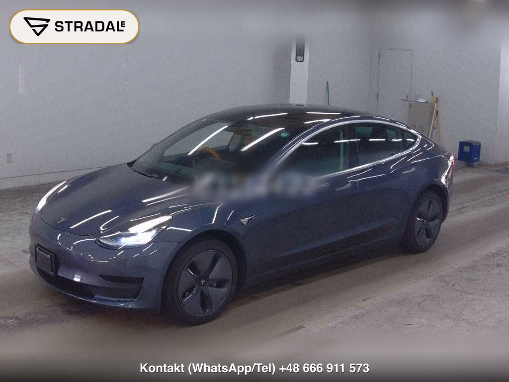 TESLA MODEL 3 STANDARD RANGE PLUS, miniaturka 5